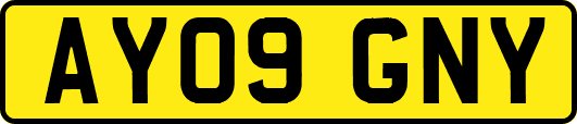 AY09GNY