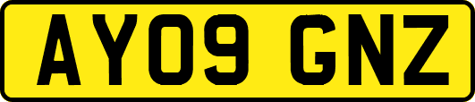 AY09GNZ