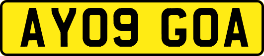 AY09GOA