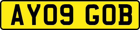 AY09GOB
