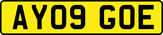AY09GOE