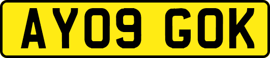 AY09GOK