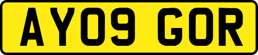 AY09GOR