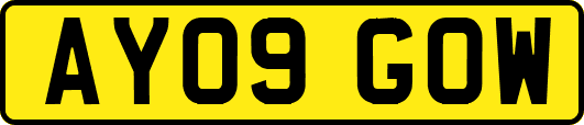 AY09GOW
