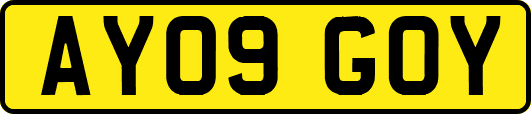 AY09GOY