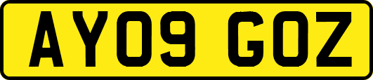 AY09GOZ