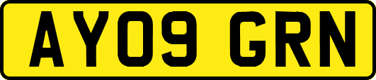 AY09GRN