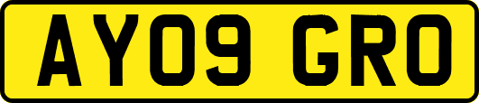 AY09GRO