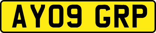 AY09GRP