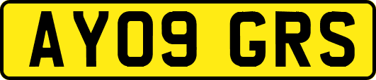 AY09GRS