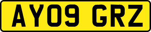 AY09GRZ