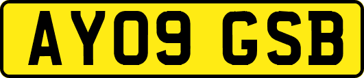 AY09GSB