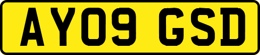 AY09GSD