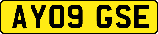 AY09GSE