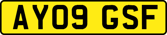 AY09GSF