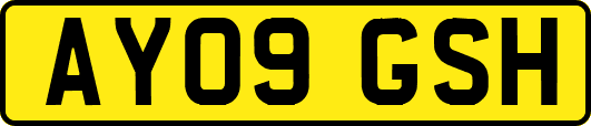 AY09GSH