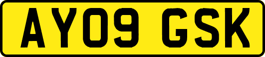 AY09GSK
