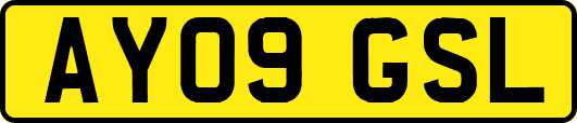 AY09GSL