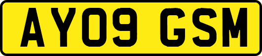 AY09GSM