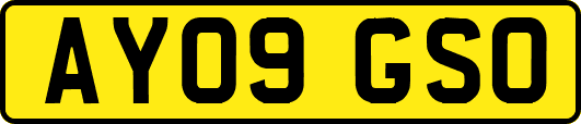 AY09GSO