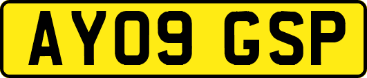 AY09GSP