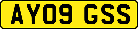 AY09GSS