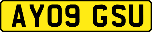 AY09GSU