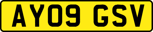 AY09GSV