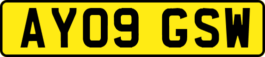 AY09GSW