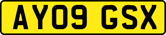 AY09GSX