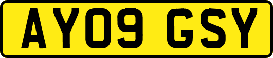 AY09GSY