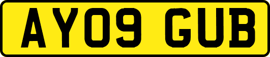 AY09GUB