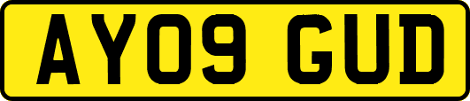 AY09GUD