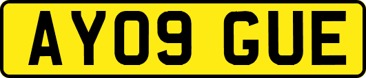 AY09GUE