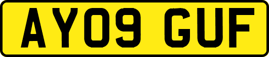 AY09GUF