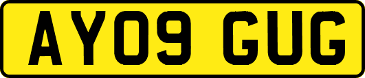 AY09GUG
