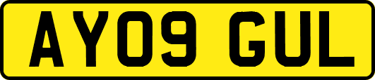AY09GUL