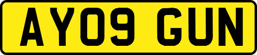 AY09GUN