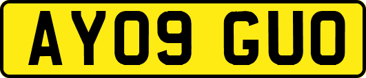 AY09GUO