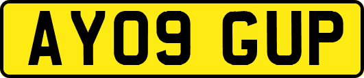 AY09GUP