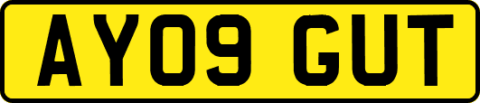 AY09GUT