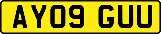 AY09GUU