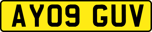 AY09GUV