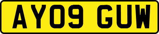 AY09GUW