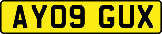 AY09GUX