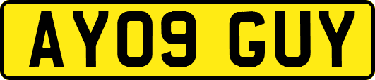 AY09GUY
