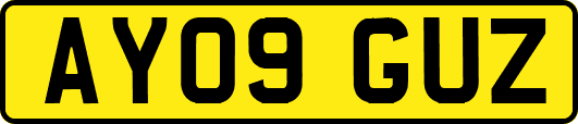 AY09GUZ