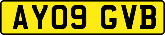 AY09GVB