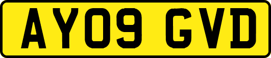 AY09GVD