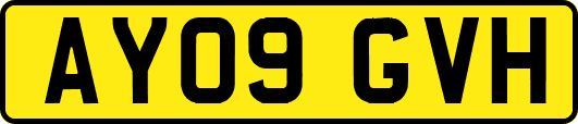 AY09GVH